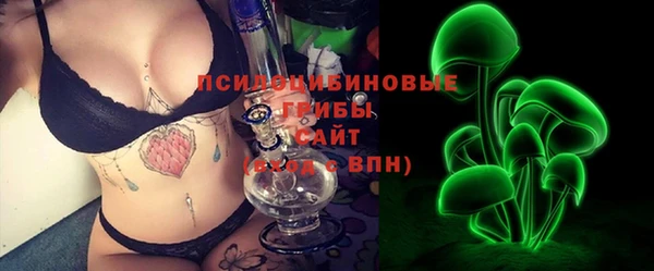 ГАЛЛЮЦИНОГЕННЫЕ ГРИБЫ Алексин