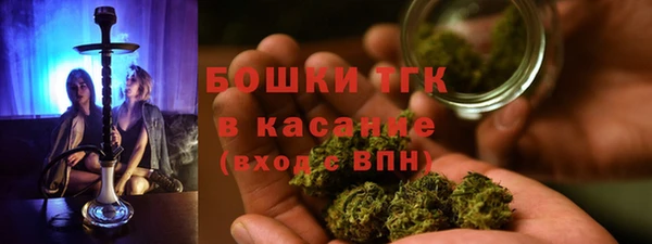 ГАЛЛЮЦИНОГЕННЫЕ ГРИБЫ Алексин