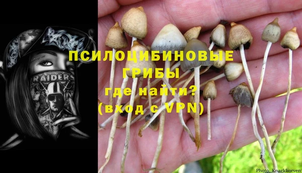 ГАЛЛЮЦИНОГЕННЫЕ ГРИБЫ Алексин
