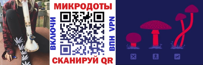 Галлюциногенные грибы Psilocybe  Купить где  Балабаново 